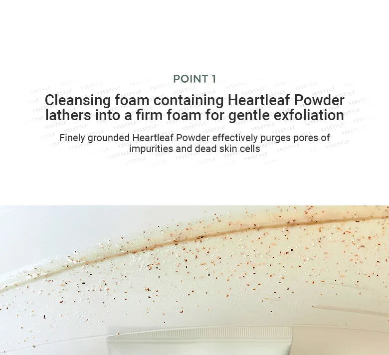 Anua Heartleaf Quercetinol Pore Deep Cleansing Foam