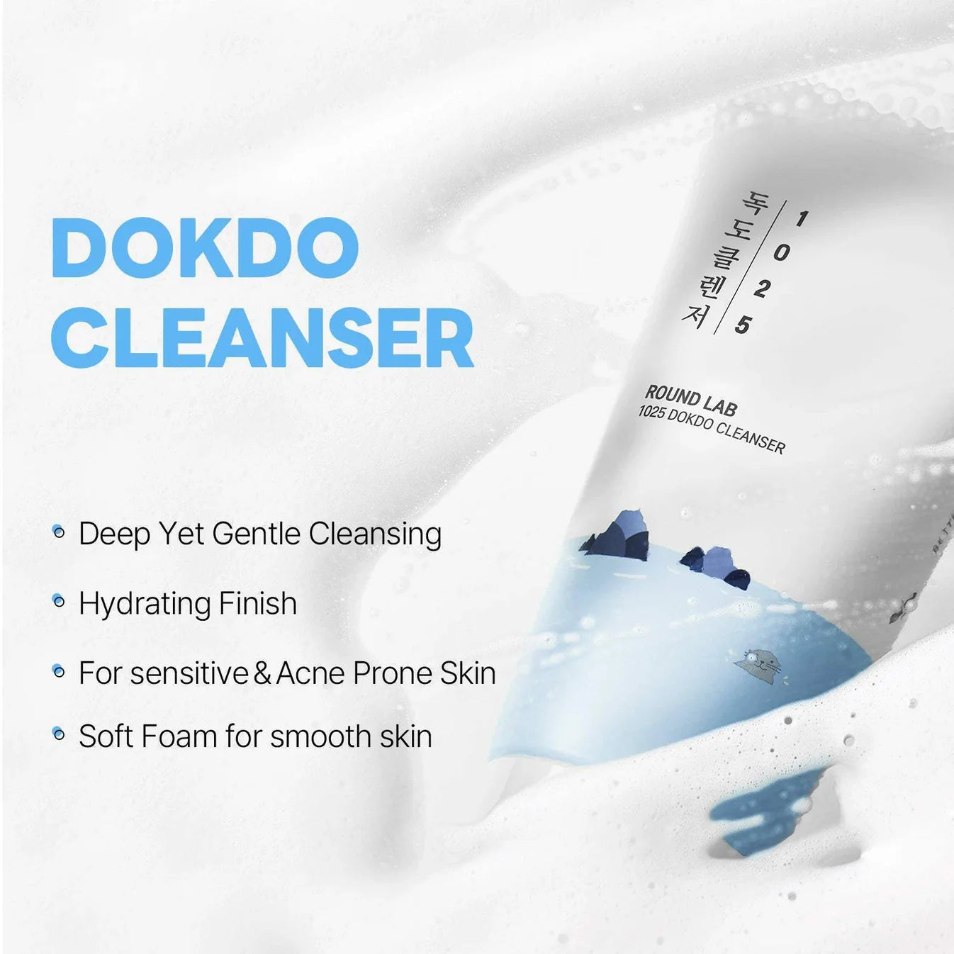 Round Lab - 1025 Dokdo Bubble Foam 150ml