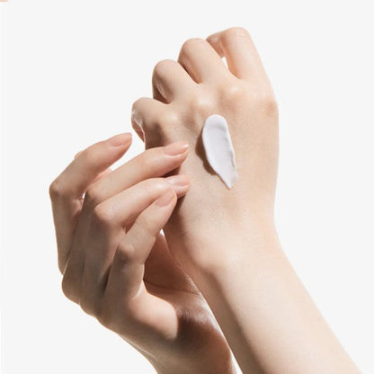 Nature Republic Korean Hand Cream